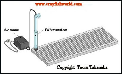 Undergravel Filter With Canister Filter Free Shipping Available